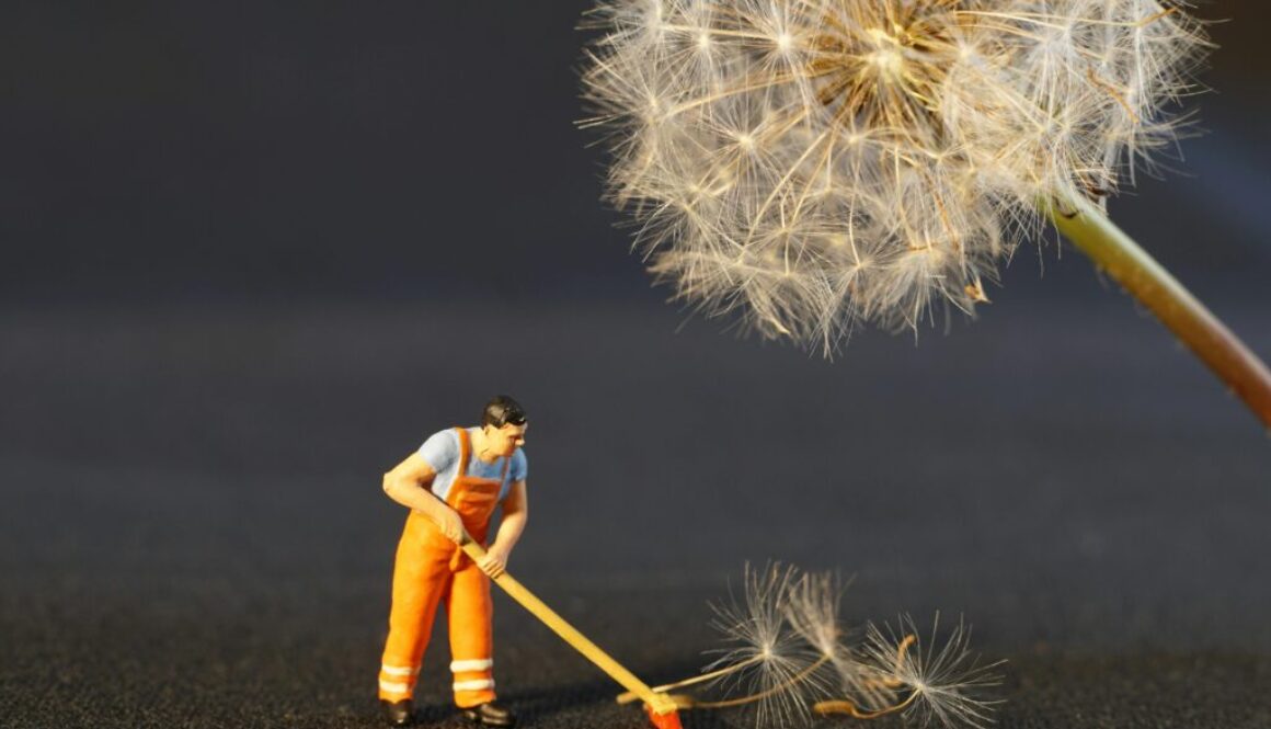 pexels-pixabay-434163