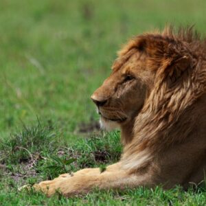 pexels-thefatmansvision-3850486