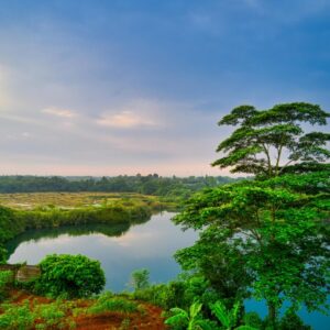 pexels-tomfisk-2328719